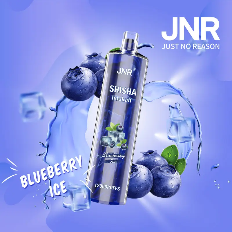 JNR Shisha Hookah – Blueberry Mint 12,000